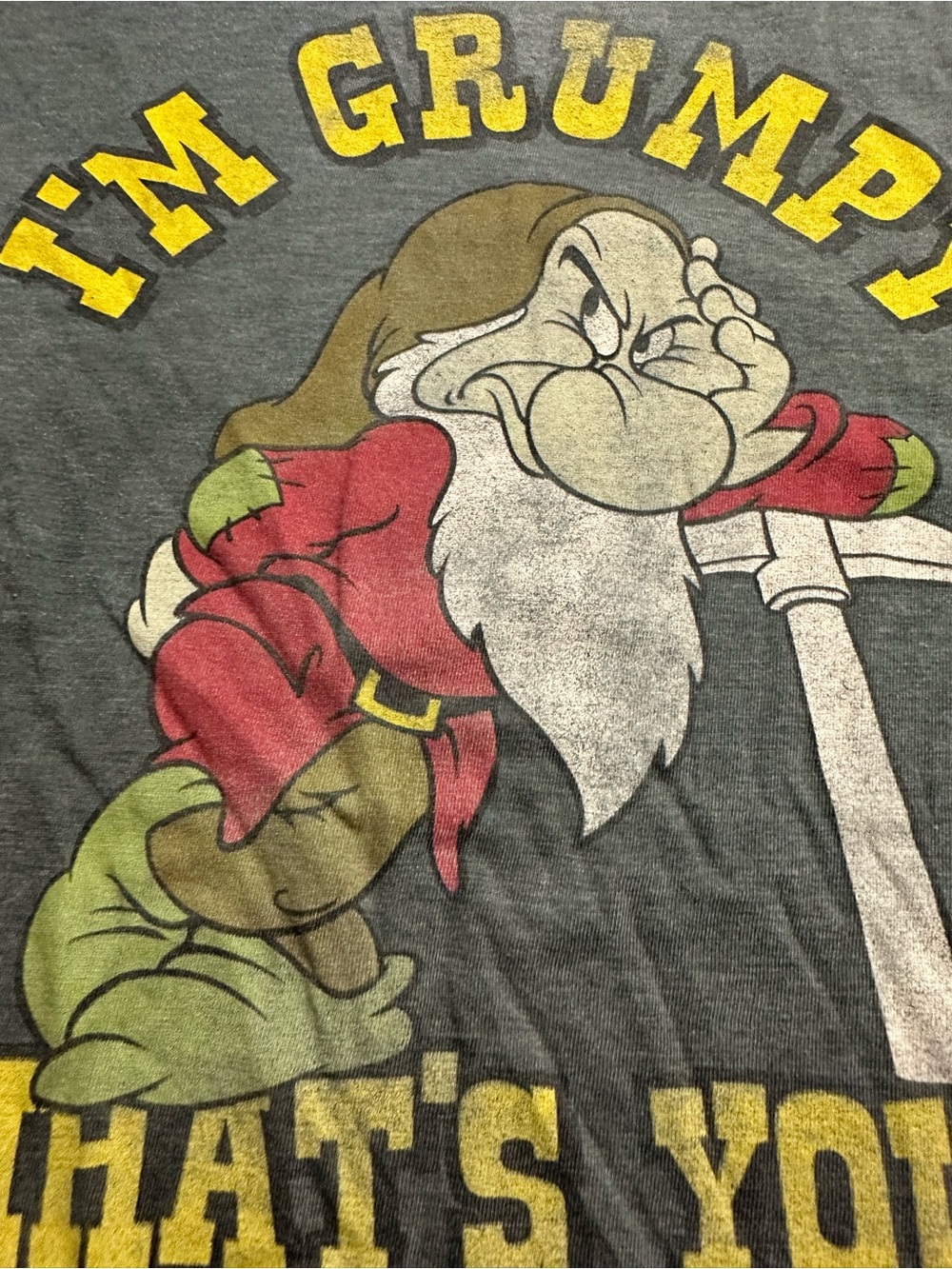 Disney Grumpy Graphic Tee in Gray with Red, Yellow & Green
